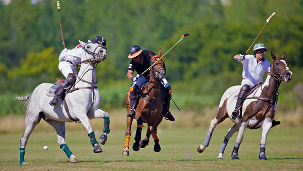 Three men playing polo on horseback