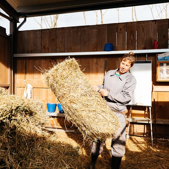 Woman carrying haystack out from wooden shed