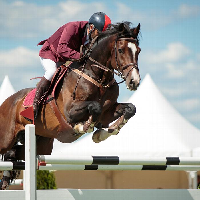 Man on horse jumping over pole at an equestrian competition