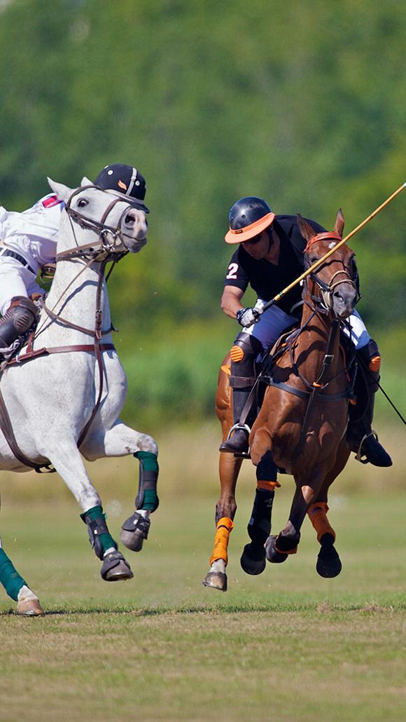 Icon men playing polo on horseback